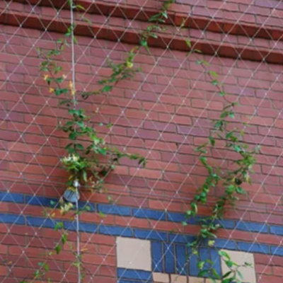 316 Stainless Steel Rope Net for Garden Fence Fall Protection Football Field Cable Mesh