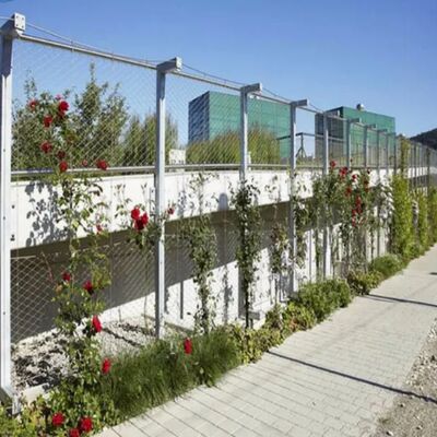 SS304 Stainless Steel X Tend Rope Net Decorative Plants Climbing Support