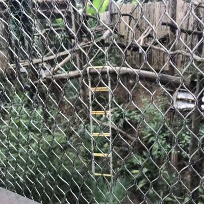 Customized Stainless Steel Wire Rope Mesh with Anti-Corrosion SUS 304/316 and High Strength 100-110,000 PSI for Cable Railing Balustrade