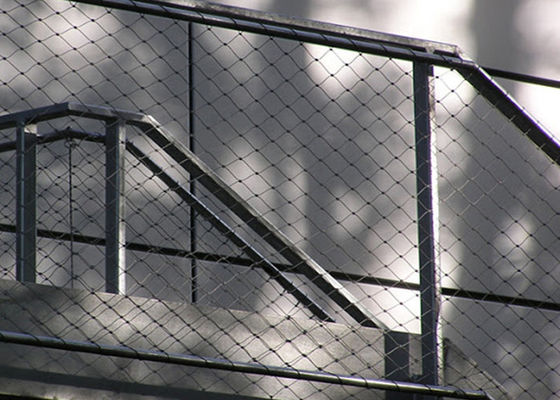 متانة عالية شبكة حبل فولاذي ضيق شبكة 25mm-300mm حجم الفتحة