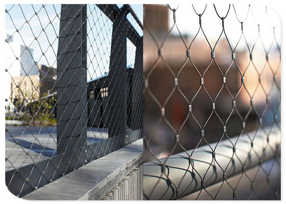 الزخرفية نوع سلك حبل شبكة درابزين السياج الفولاذ المقاوم للصدأ فيرولد