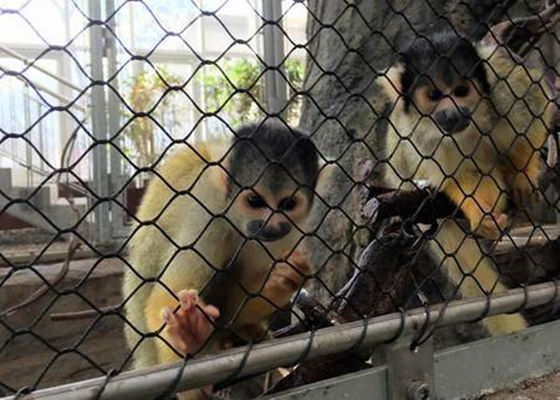 أسود أكسيد مرنة سس أفياري حبل شبكة المعاوضة الماس المنسوجة نوع