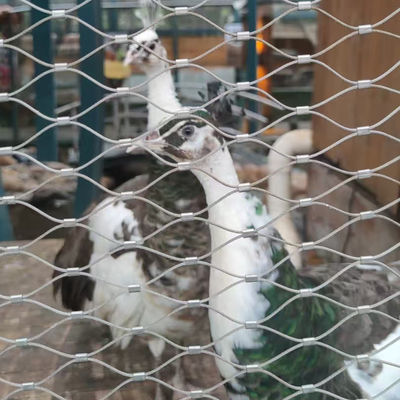 شبكة سلكية مرنة حبل سلكي للأسوار الحديقة