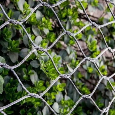 304 316L Stainless Steel  Bird Cage-Specific Cable Mesh Chew-Proof