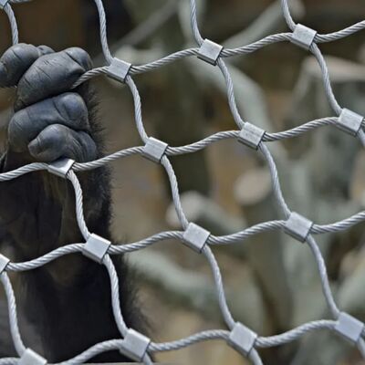 شبكة سلكية صلبة من الفولاذ المقاوم للصدأ مصممة للحواجز الأمنية