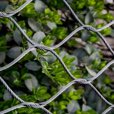 شبكة كابلات من الفولاذ المقاوم للصدأ مرنة مصممة للسلامة في المشاريع المعمارية