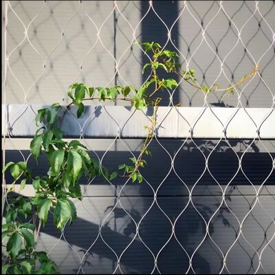 شبكة الحبل من الفولاذ المقاوم للصدأ للنباتات الخضراء للتسلق