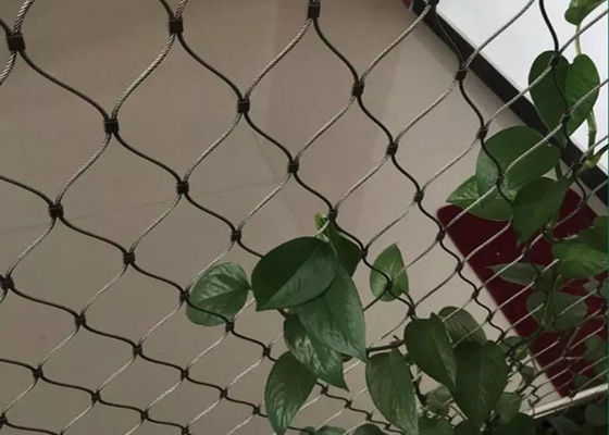 الجدار الديكور الأخضر 100x100mm شبكة كابل الفولاذ المقاوم للصدأ مرنة