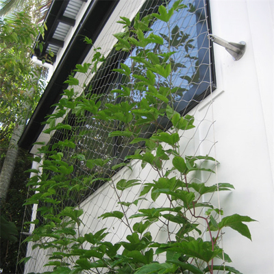 Eco Green Wall 1.2mm شبكة أسلاك الفولاذ المقاوم للصدأ للواجهة الخضراء