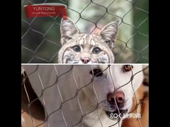 قفص الحيوان