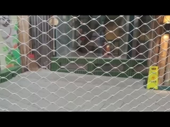 شبكة الغابات الطيور