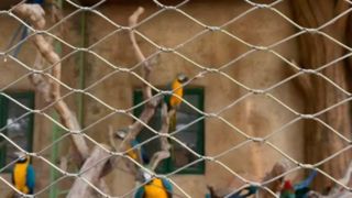 كيف تبدو شبكة الكابلات المنسوجة من أسلاك الفولاذ المقاوم للصدأ